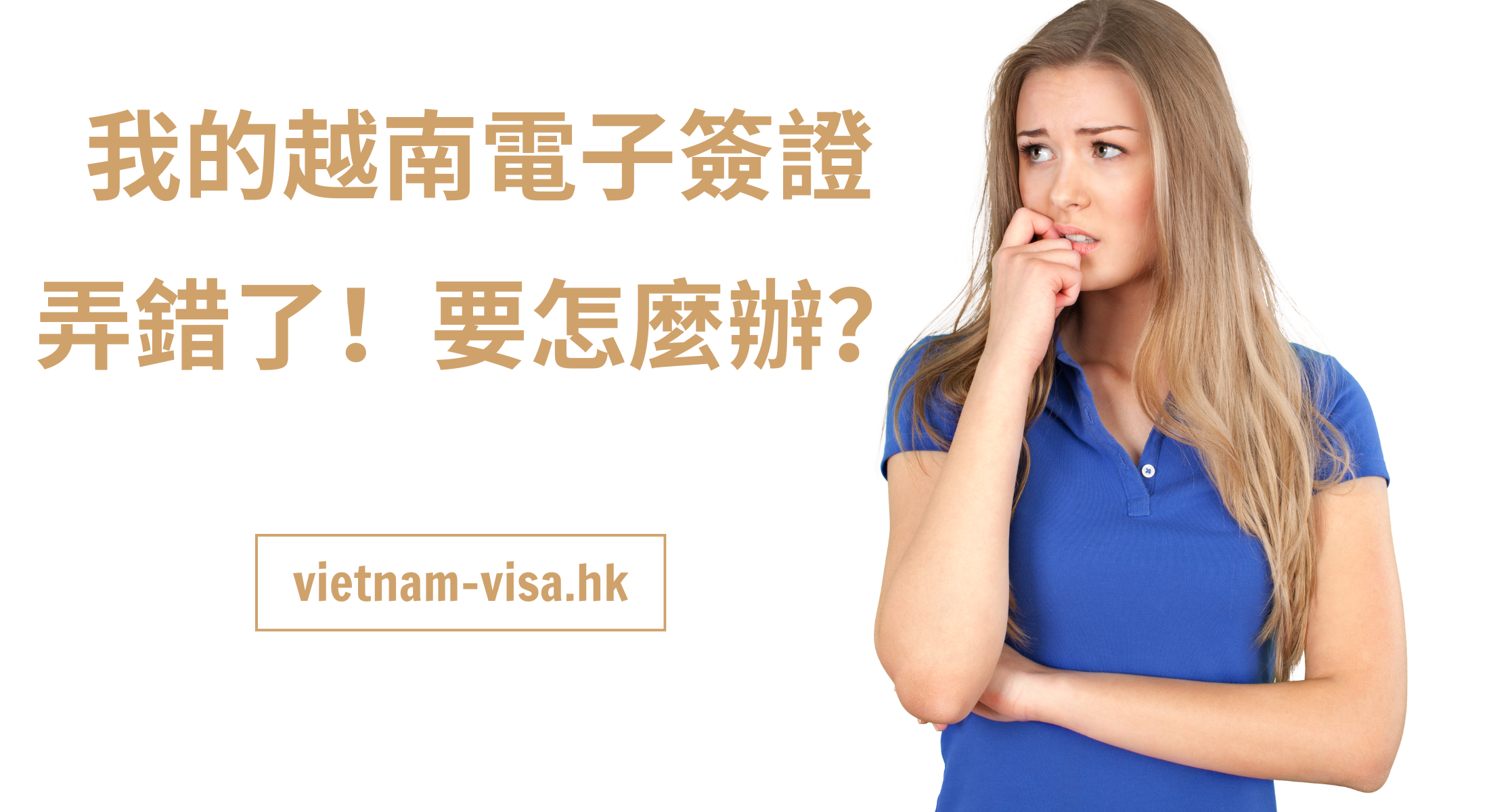 在哪裡巡查越南電子簽證辦理進度？申請越南電子簽證要注意什麼？