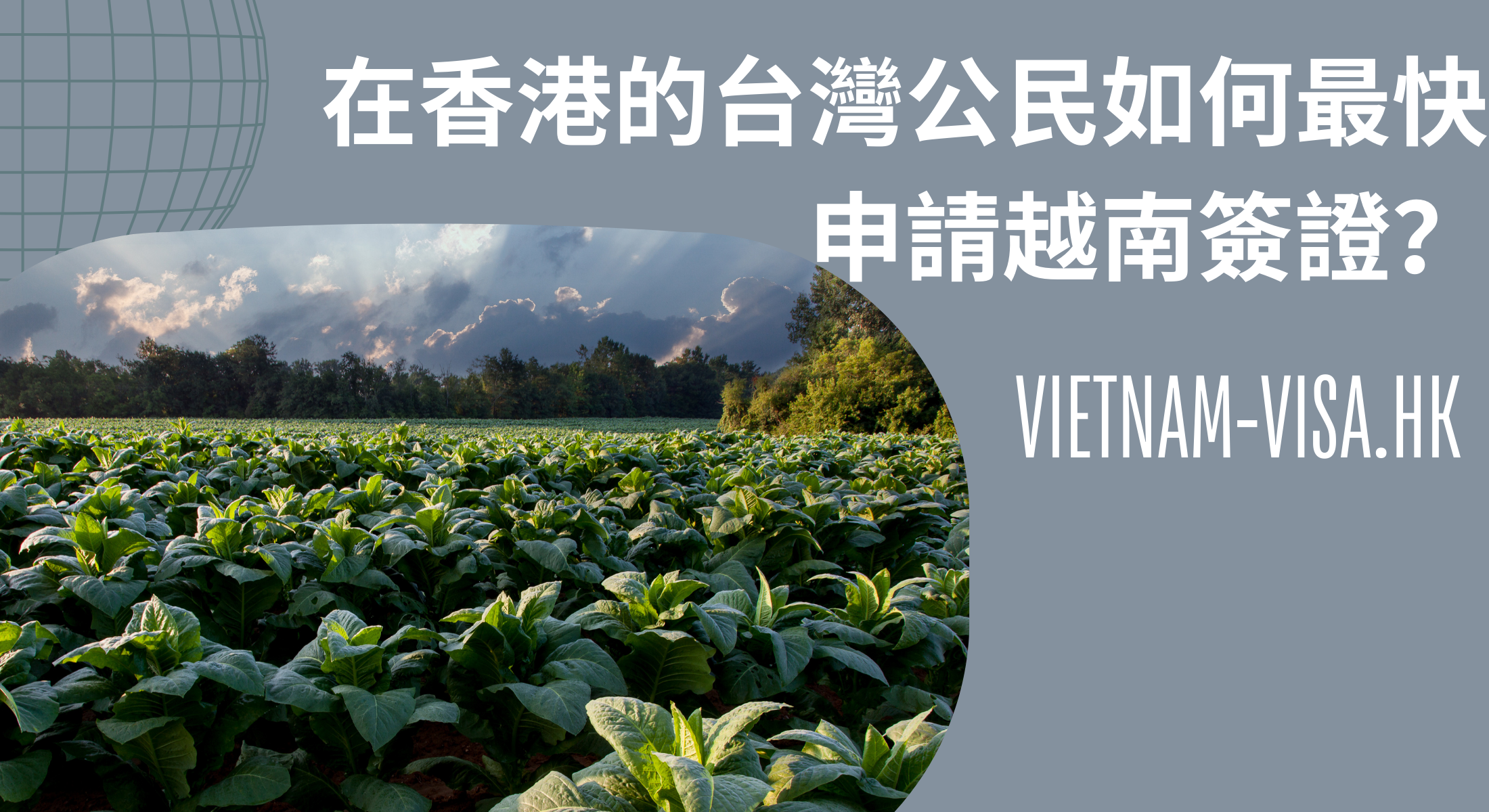 在香港的台灣公民如何最快申請越南簽證？