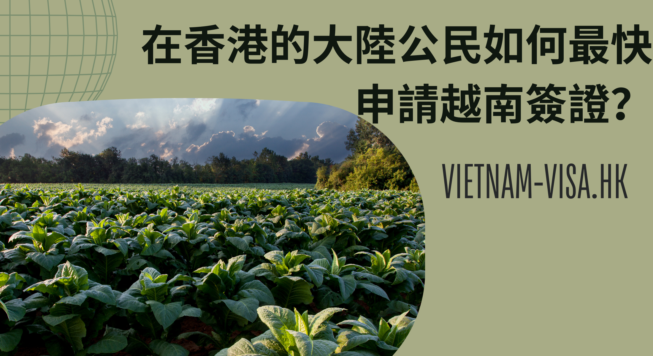 在香港的大陸公民如何最快申請越南簽證？